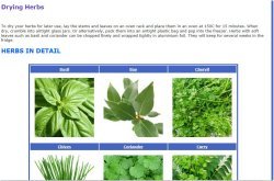 seed sow grow herb guide